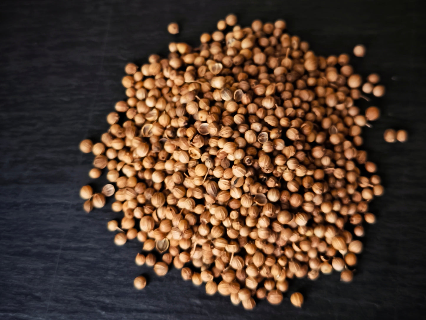 Koriandri terad 50 g